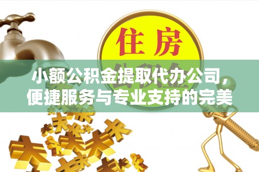 绛县小额公积金提取代办公司，便捷服务与专业支持的完美结合