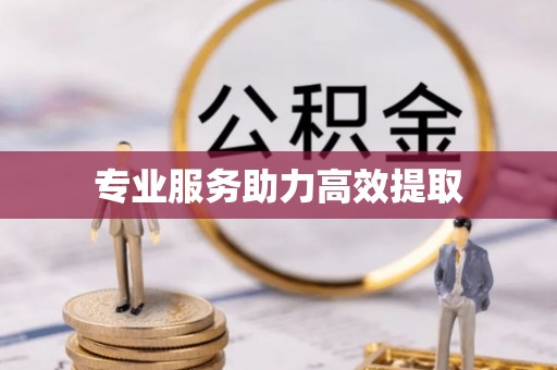 绛县专业服务助力高效提取