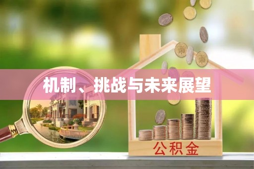 绛县机制、挑战与未来展望